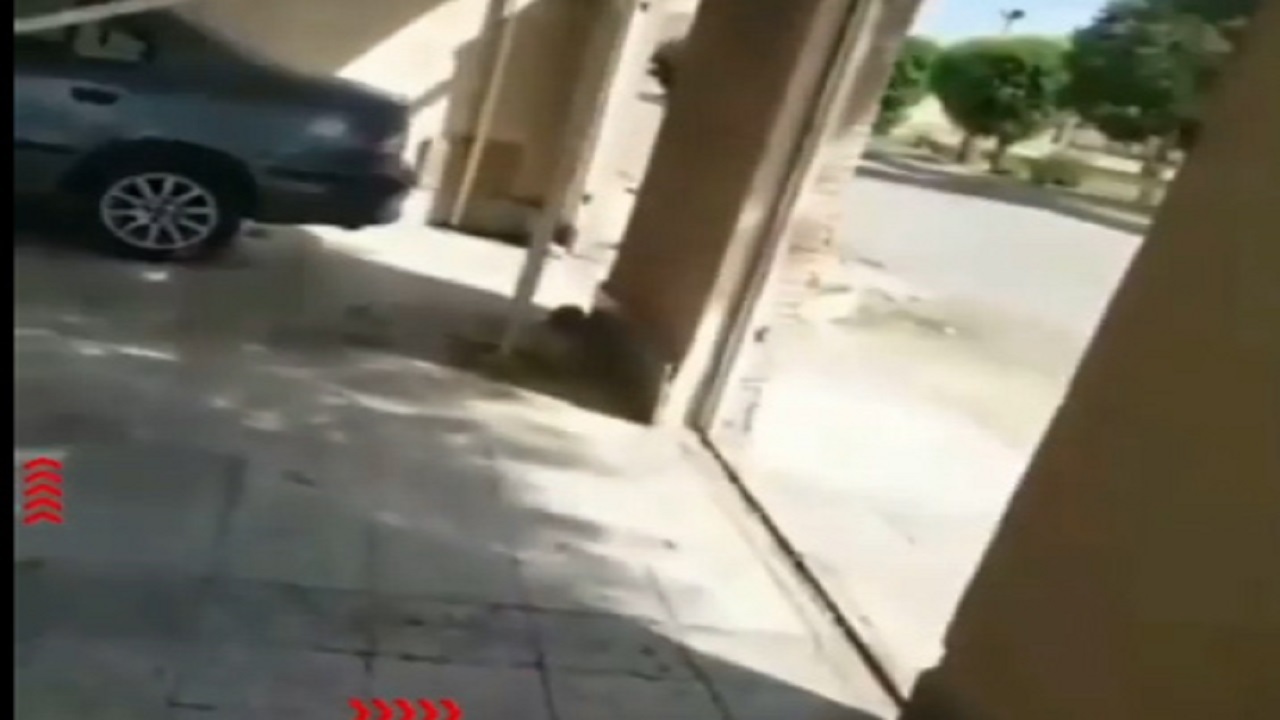 وقتی سارقان به درب منازل هم رحم نمی کنند! + فیلم
