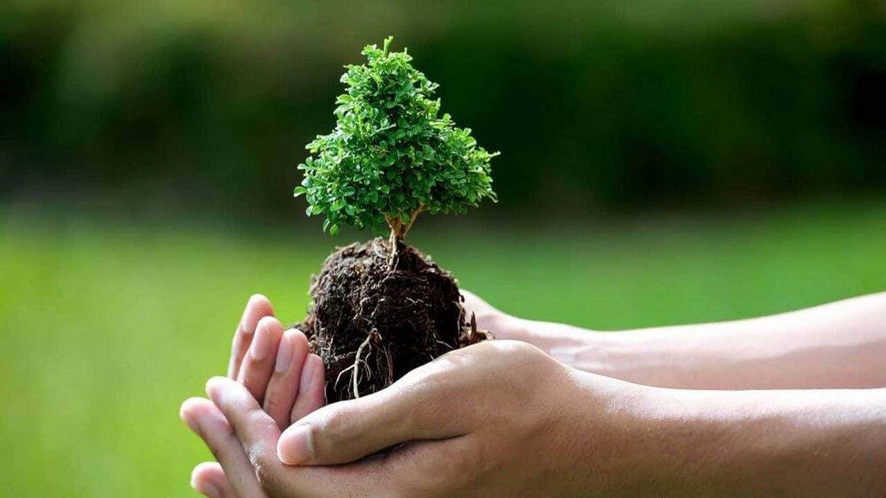 لزوم توجه به پرورش نگرش‌های محیط زیستی در دوران کودکی