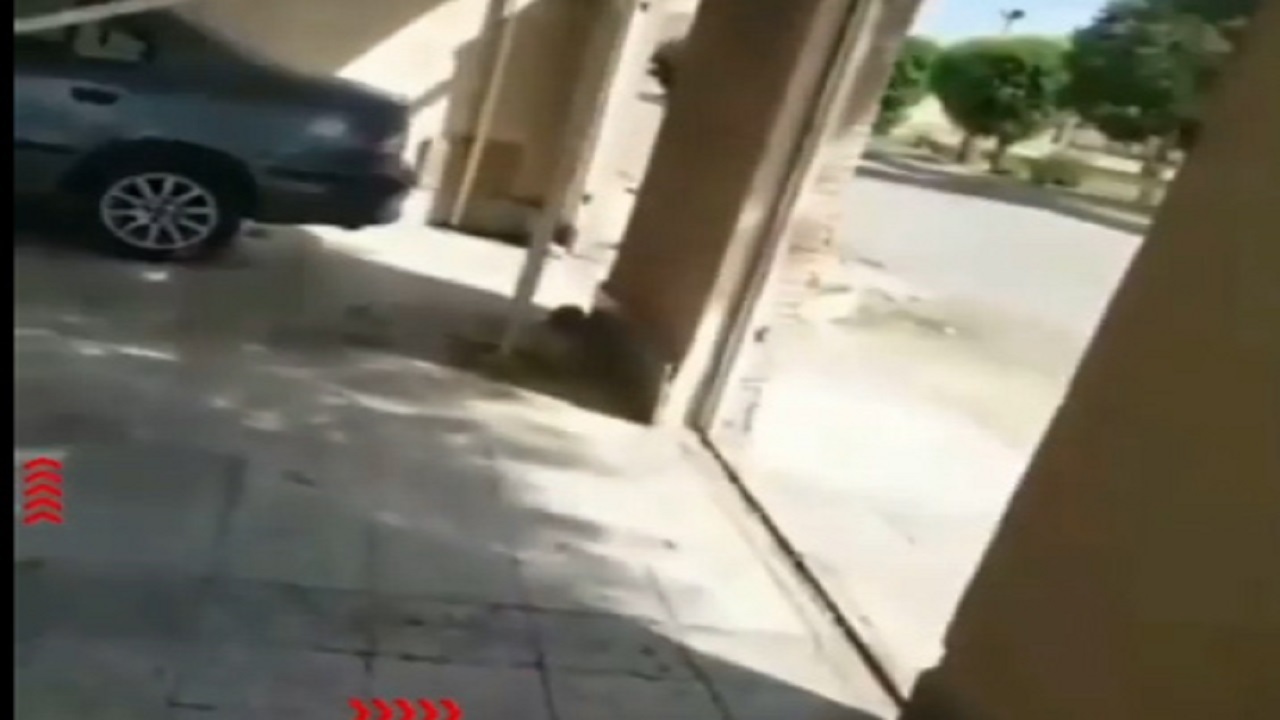 ار ار