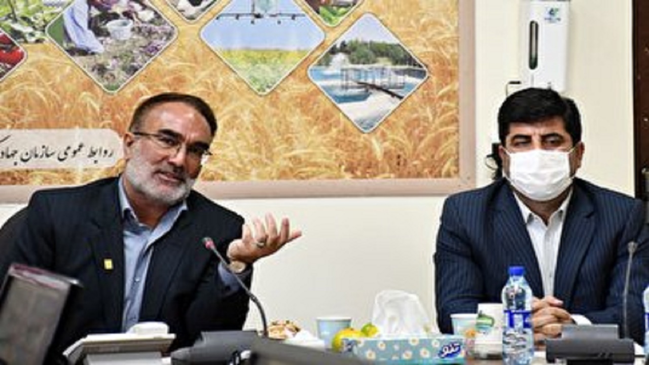 احکام قضائی اراضی زراعی و کشاورزی باید اجرا شود