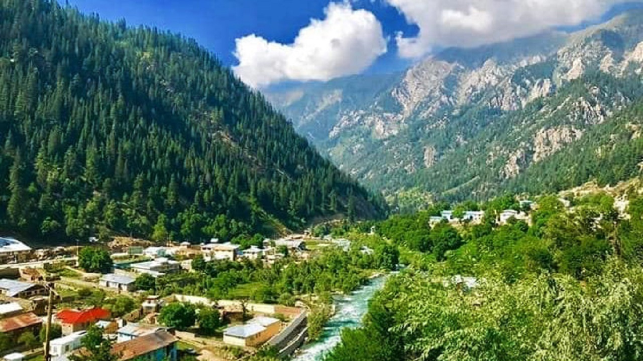قطع درختان و تخریب جنگل ها ممنوع است