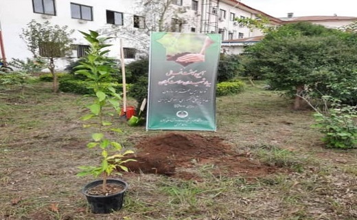 قدردانی رئیس سازمان نظام پزشکی از پرستاران بیمارستان رازی رشت