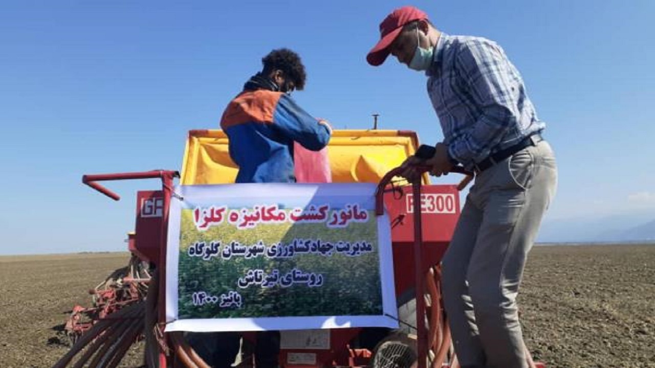 برگزاری رزمایش کشت مکانیزه کلزا در گلوگاه