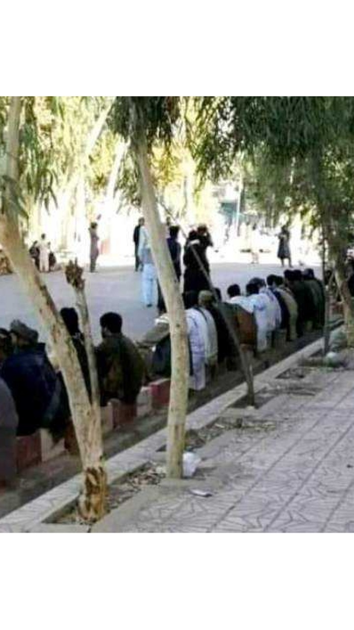 افزایش تلفات حمله تروریستی قندهار/ مردم برای اهدای خون صف کشیدند