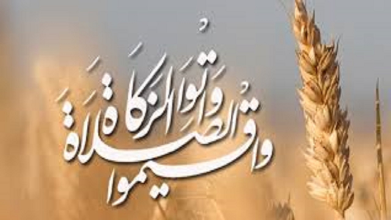 جمع آوری ۳۹۵ میلیارد ریال زکات از کشاورزان اصفهانی