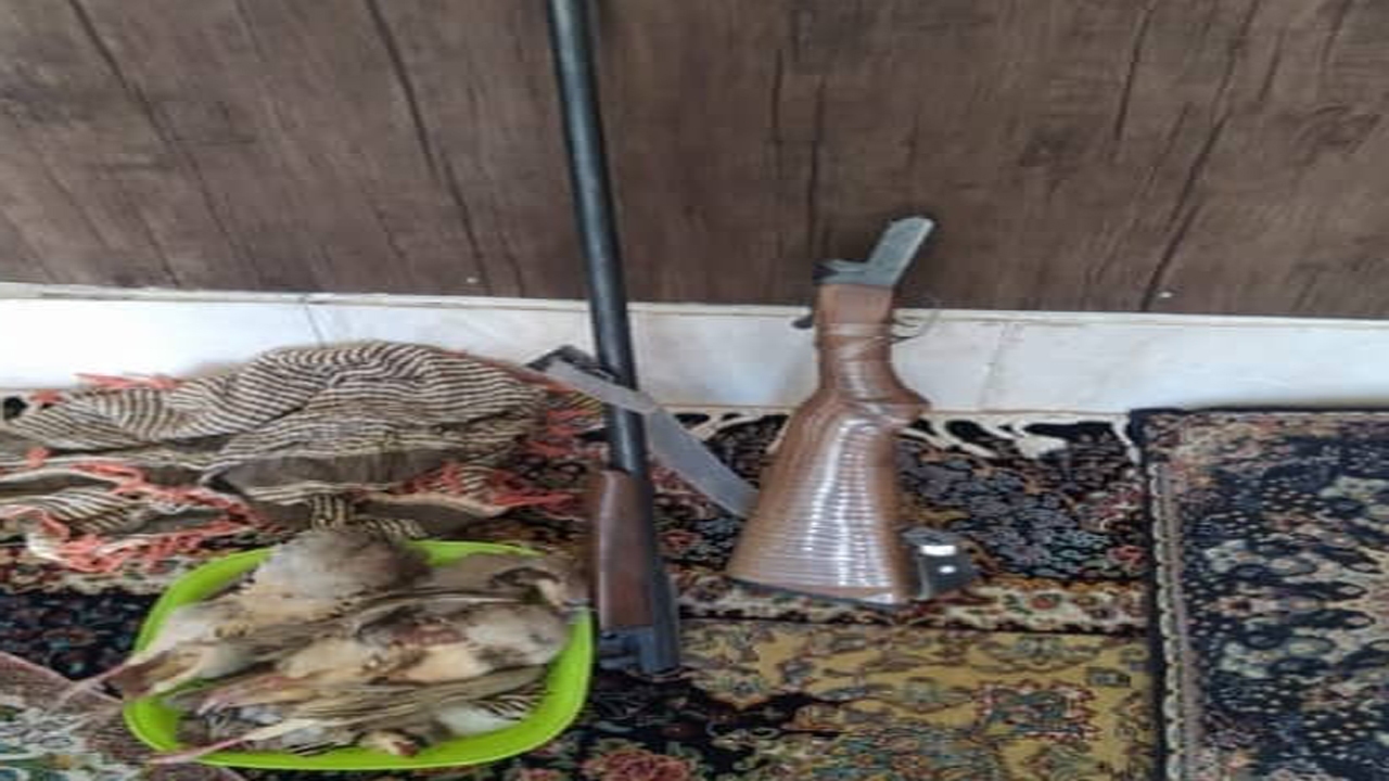 هفته پرکار برای محیط بانان حفاظت محیط زیست استهبان