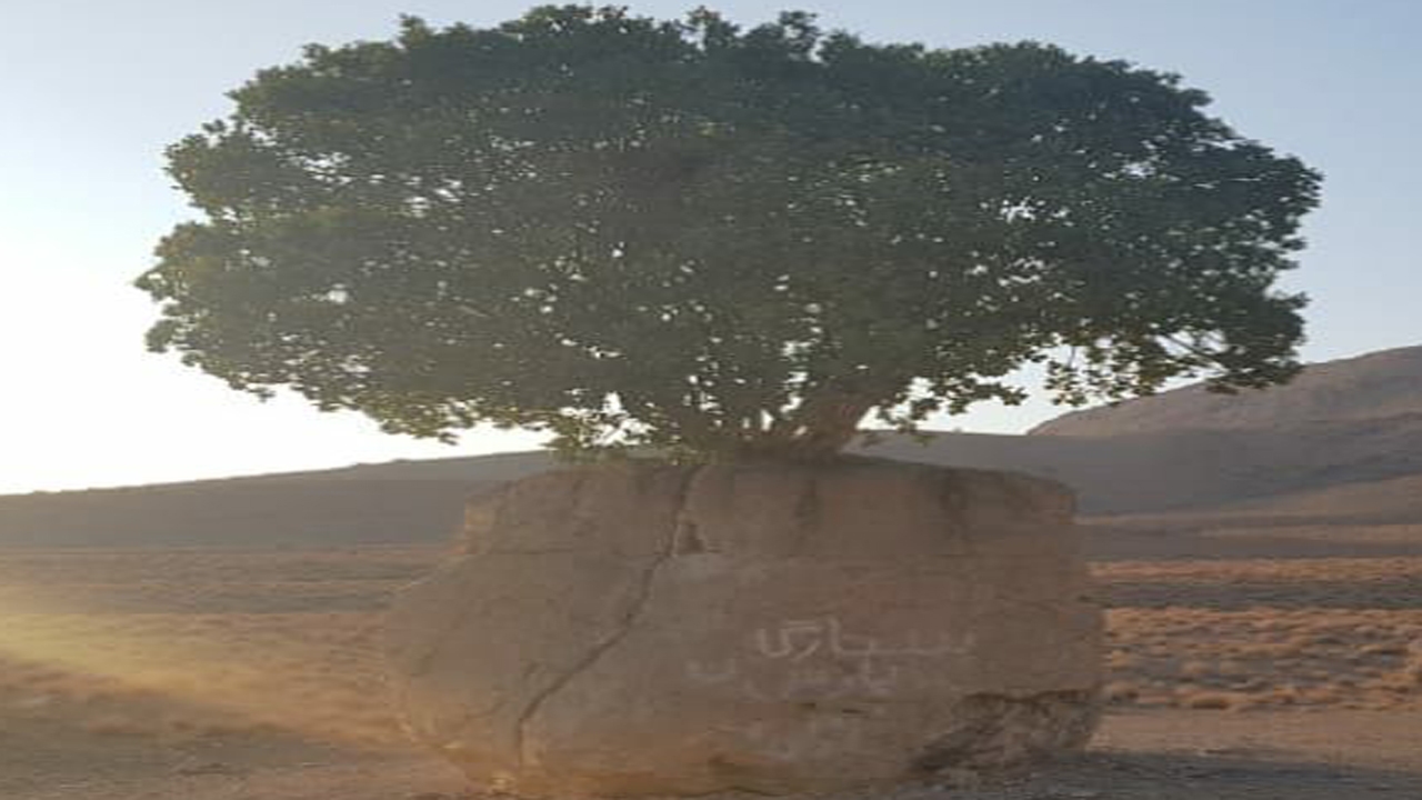 جاذبه گردشگری مروارید سبز ارسنجان، نیازمند حمایت مسئولان ملی است