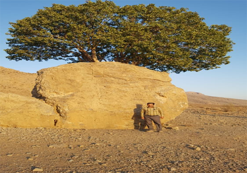 جاذبه گردشگری مروارید سبز ارسنجان، نیازمند حمایت مسئولان ملی است