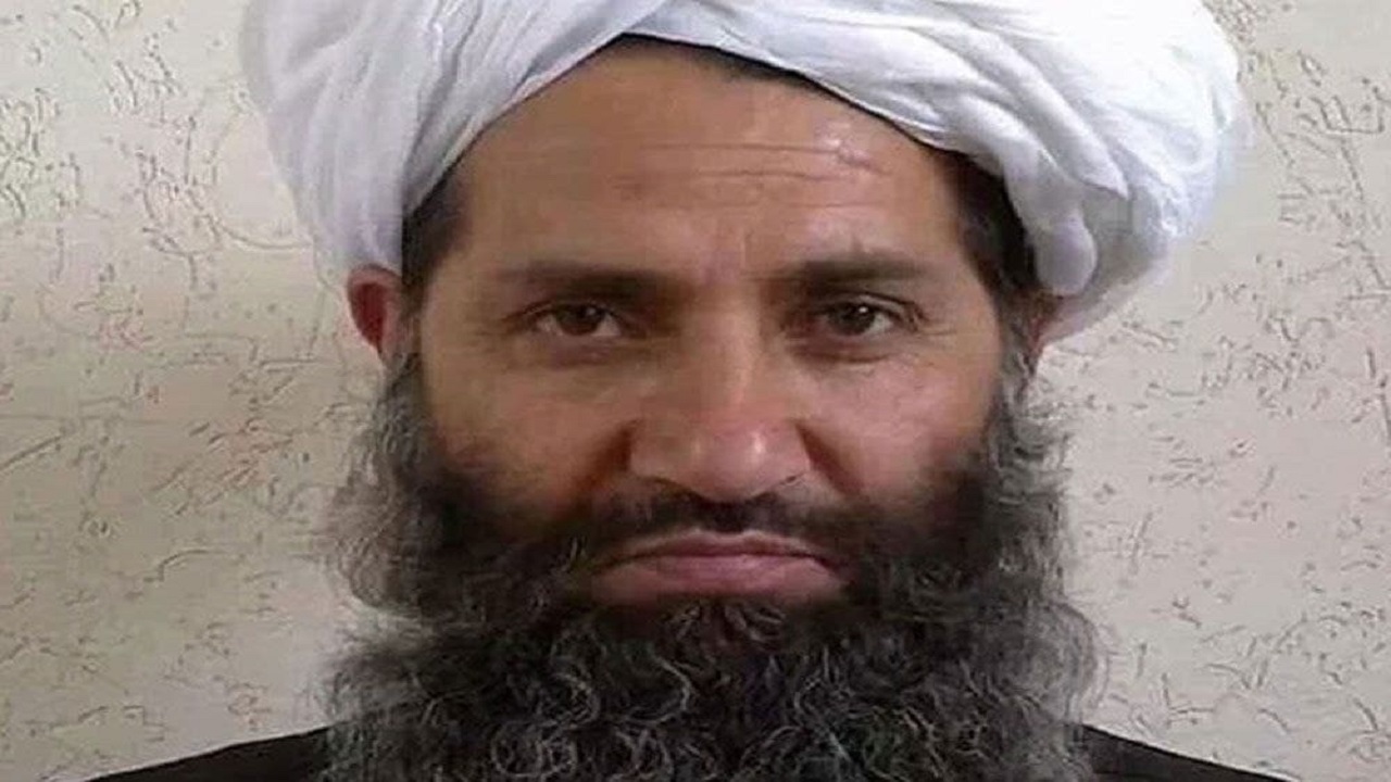 هبت اله آخوندزاده کشته شده است