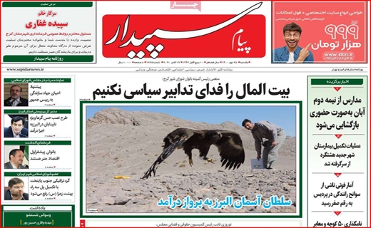 سپیدار