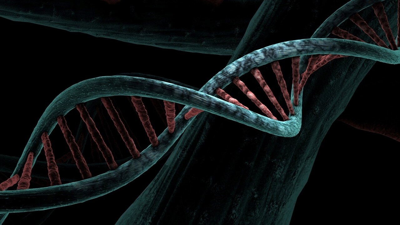 آسیب‌های ترمیم نشده DNA می‌تواند منجر به یک اختلال نادر در کودکان شود