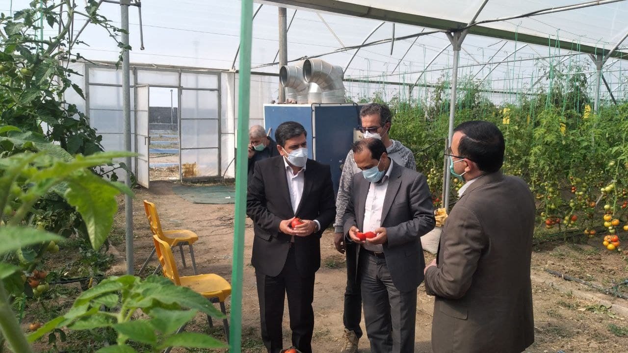 سرمایه گذاری ۱۰۰ میلیارد تومانی در حوزه گلخانه در اردبیل