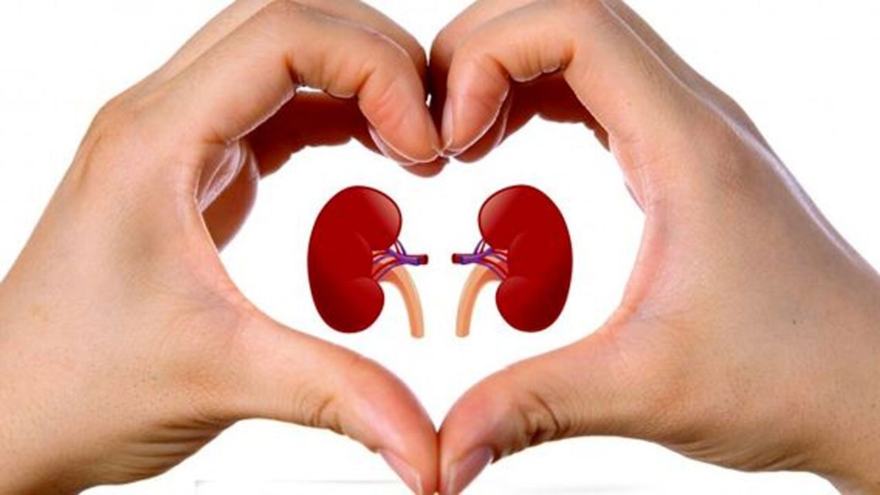 راهکارهای پیشگیری از سنگ کلیه + فیلم