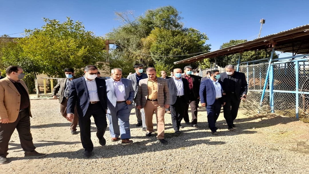 رو نمایی از پیش نویس سند توسعه اسب در کشور