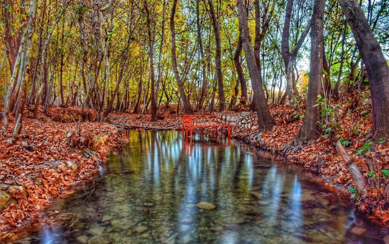 طبیعت بکر روستای حسین آباد در پاییز + تصاویر