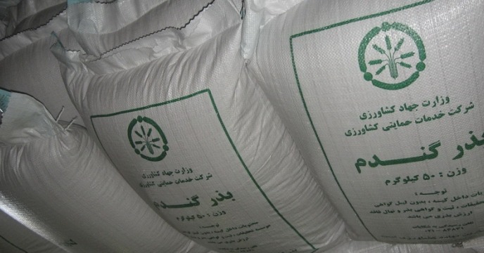 آغاز توزیع بذر گندم در کازرون
