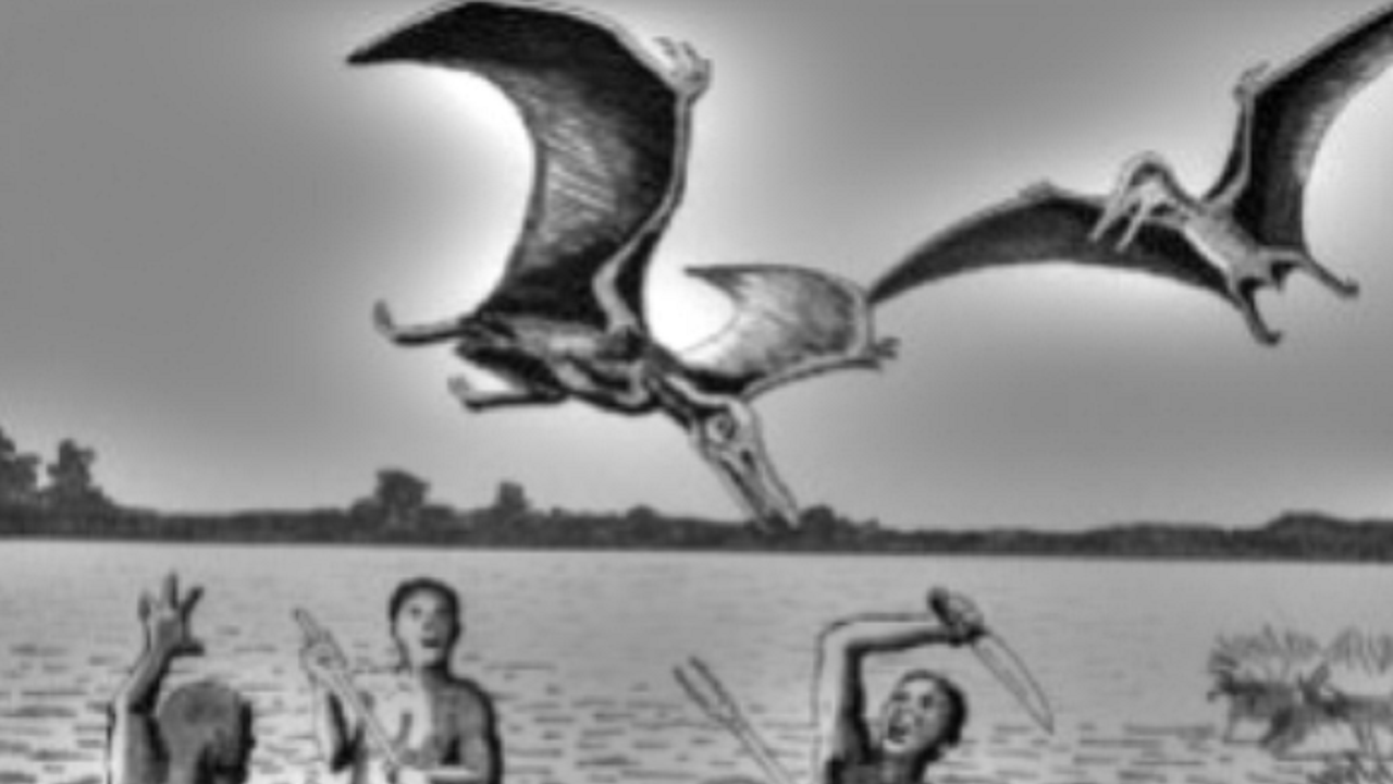 خزندگان pterosaurs خزندگان pterosaurs