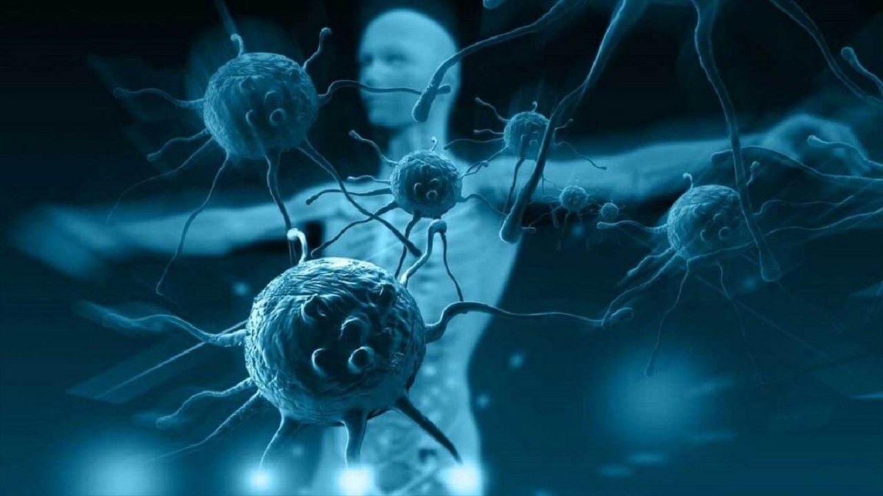 سیستم ایمنی بدن در چه زمانی از روز و چگونه تحریک می‌شود؟