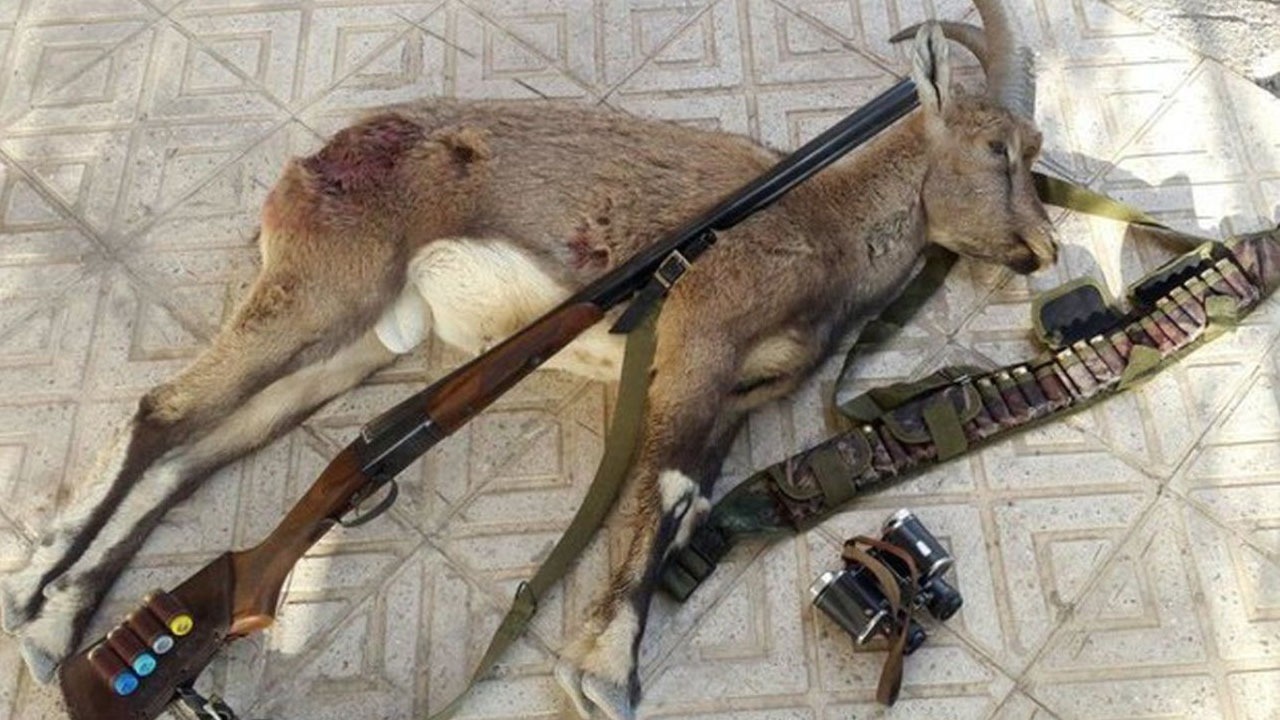 بازداشت شکارچیان غیر مجاز در بستک