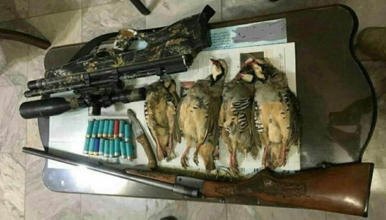 دستگیری متخلفان شکار و صید در بستک