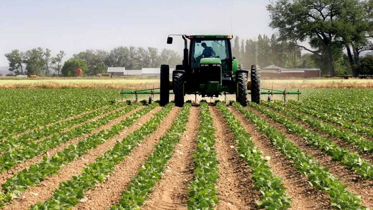 توسعه واحد‌های تولیدی کشاورزی از اولویت‌های اصلی خراسان شمالی است