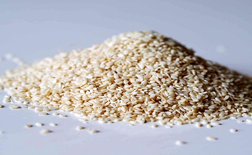 گیاه کنجد