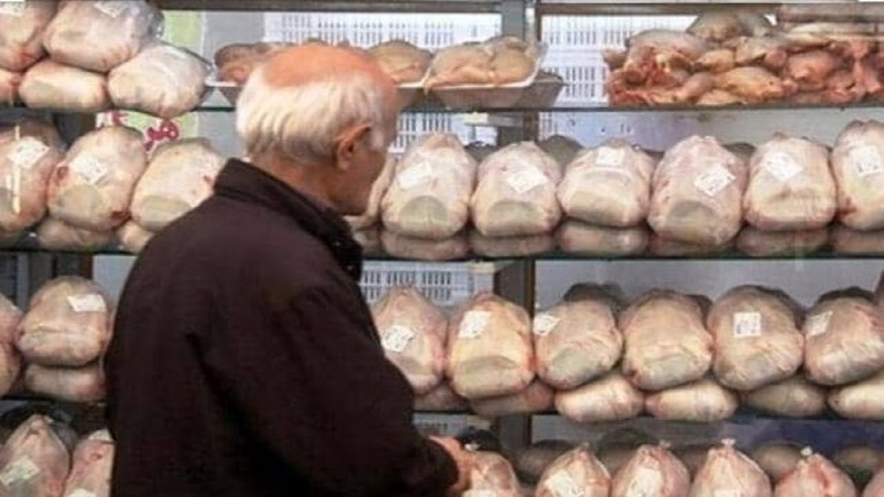 توزیع مرغ منجمد در چهارمحال و بختیاری آغاز شد