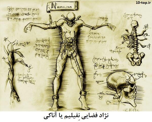 معرفی نژادهای فضایی! چند گونه از بیگانه ها وجود دارند؟