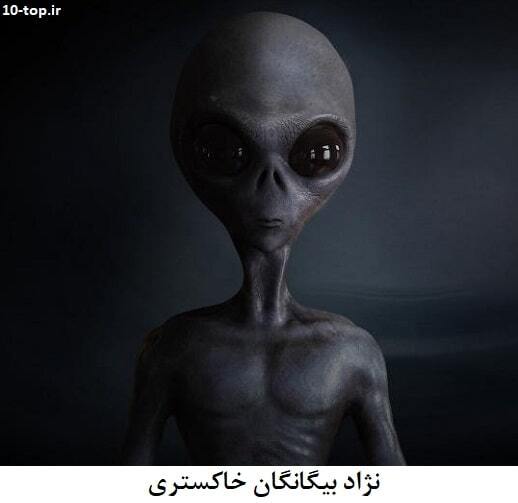 معرفی نژادهای فضایی! چند گونه از بیگانه ها وجود دارند؟