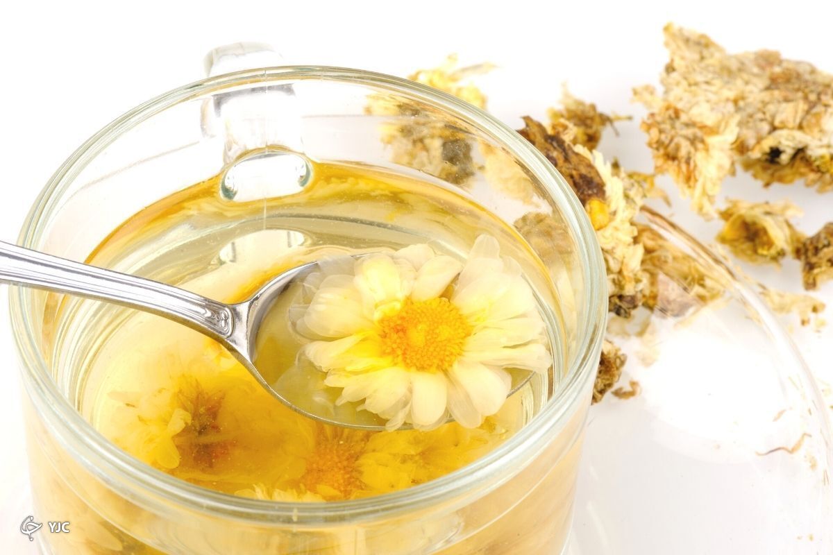 دمنوش گل داوودی، آنتی اکسیدانی برای تقویت سلامت شما