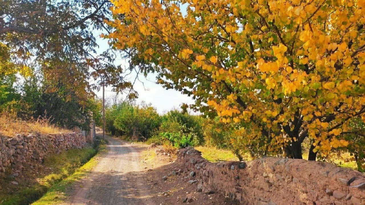 نقاشی رنگ ها در طبیعت پاییزی شهر کدکن تربت حیدریه+ تصاویر
