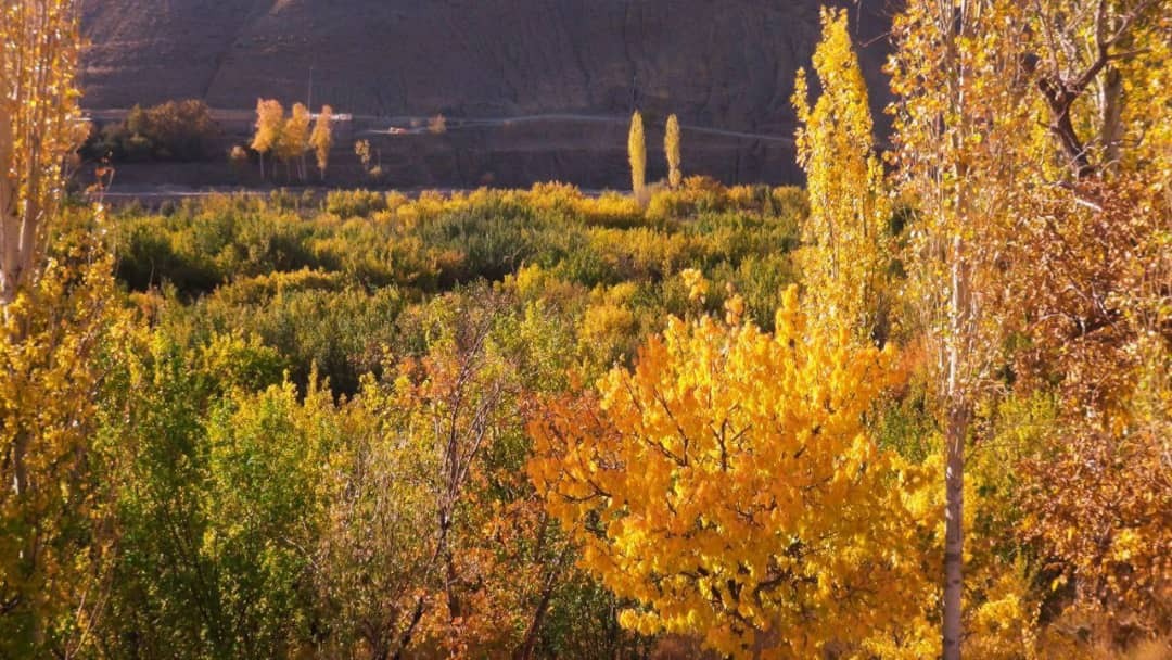 طبیعت پاییزی