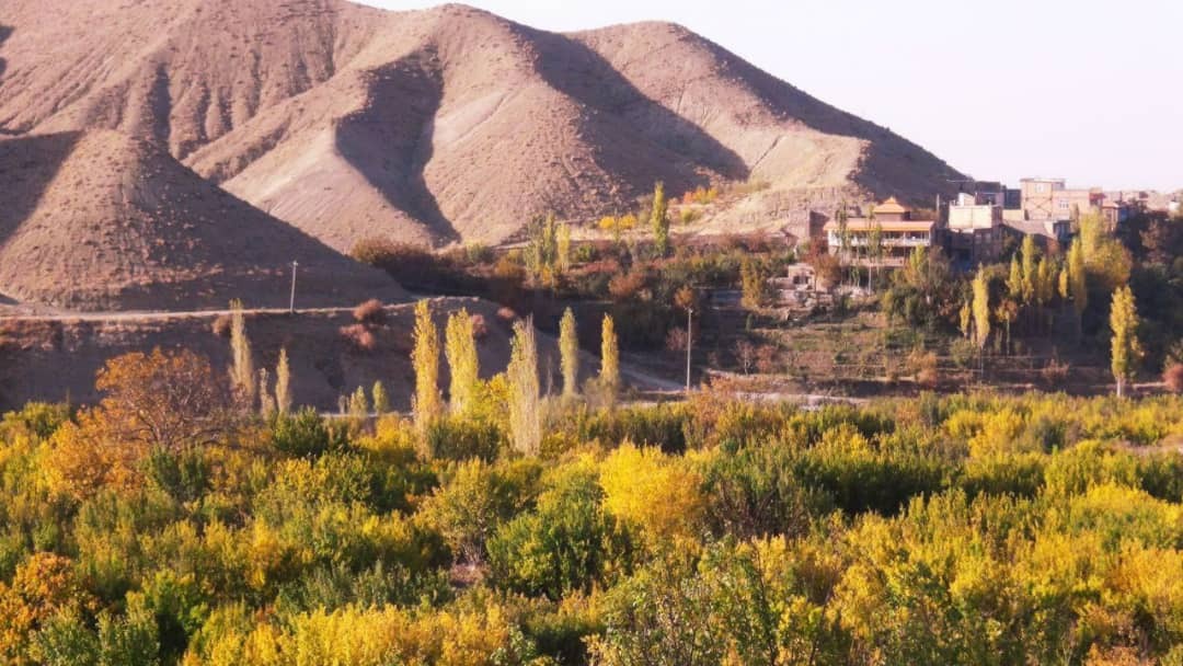 طبیعت گردی