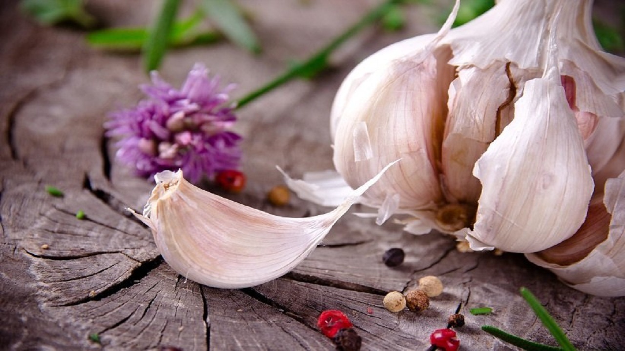 مصرف سیر برای چه کسانی ممنوع است؟