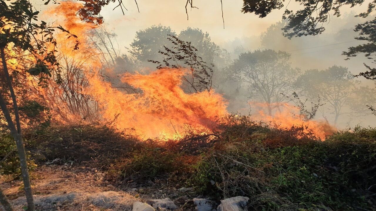 سرسختی باد مانع  مهار آتش جنگل درازنو