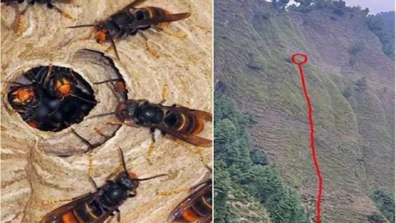 سقوط مرگبار 