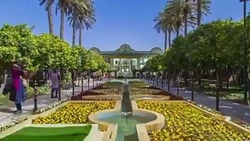 گوشه‌ای از بهشت روی زمین در گرمای طاقت فرسای بوشهر + فیلم