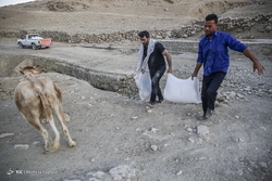 فصل سخت زلزله زدگان - اندیکا