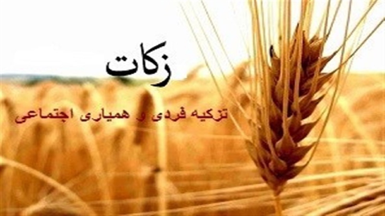 صنایع کاشان از ظرفیت زکات غافل شده‌اند
