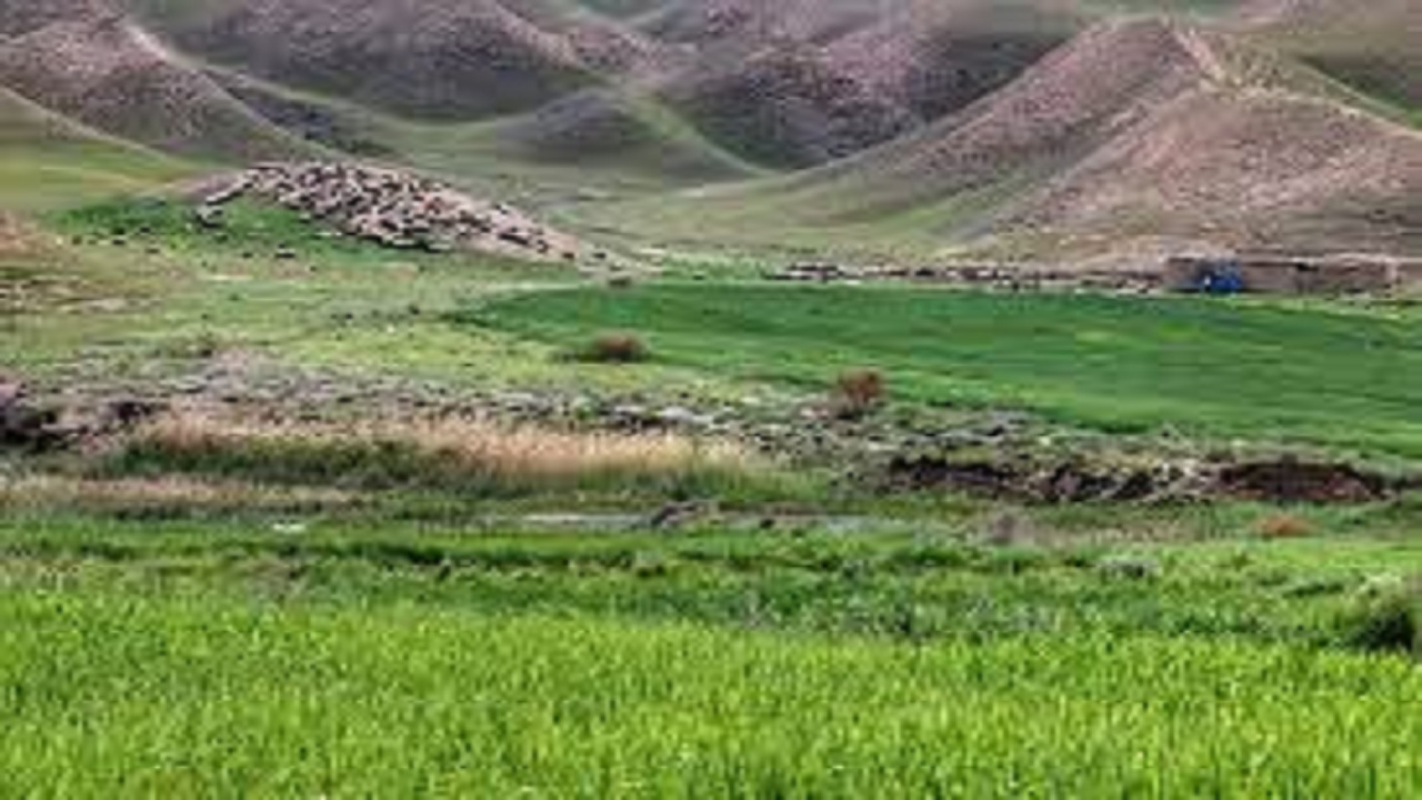 واگذاری مدیریت ۲۴۵ هکتار از مراتع همدان به بهره‌برداران