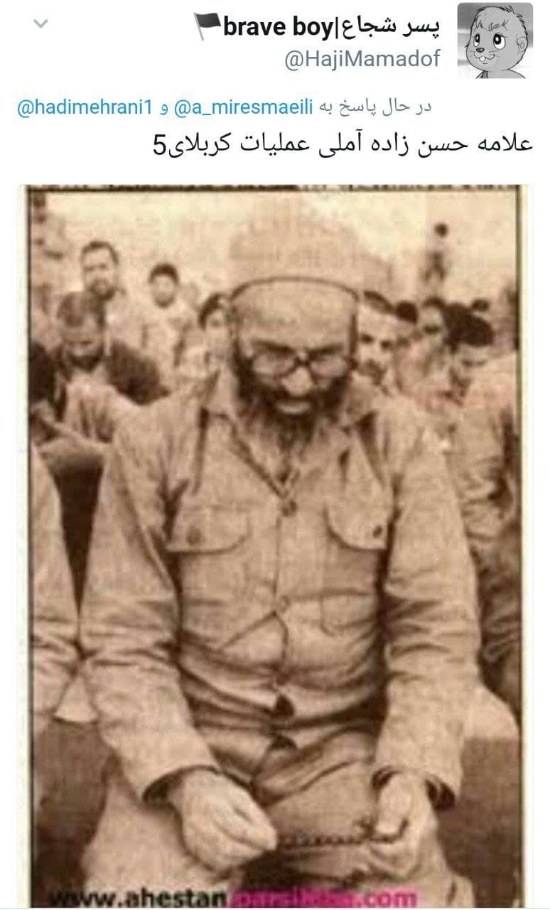 /علامه حسن زاده آملی