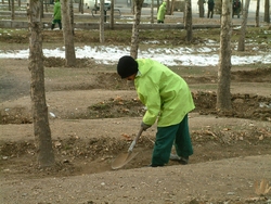 تاپ