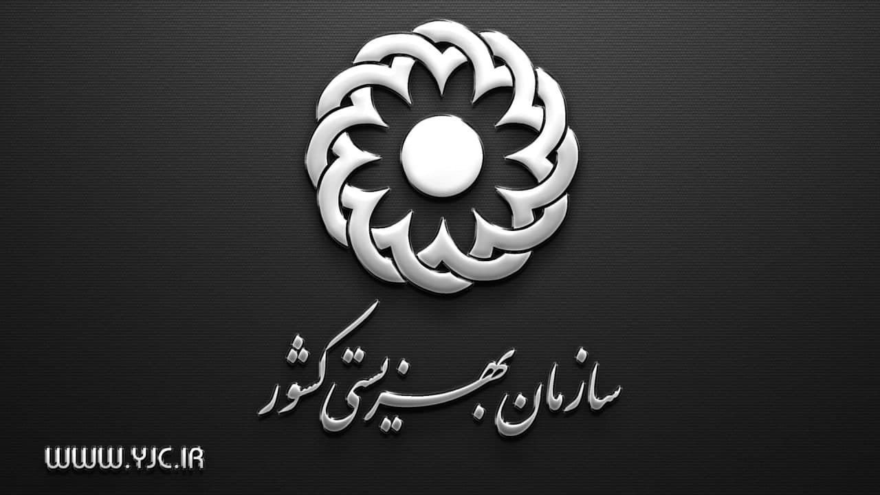 کسب رتبه برتر سازمان بهزیستی کشور در طرح ارزیابی محیط کسب و کار