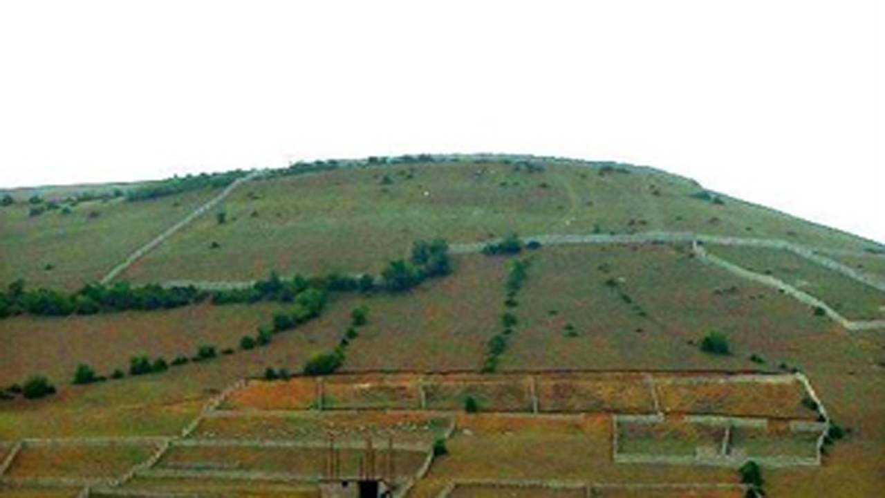 قبل از خرید زمین در مناطق ییلاقی از جهاد کشاورزی استعلام بگیرید
