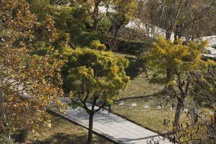 تاپ