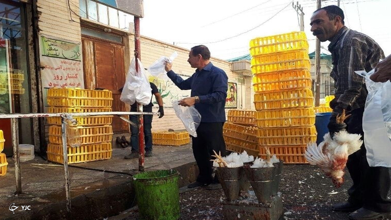 برخورد با عرضه‌کنندگان مرغ زنده در مهاباد تشدید شد