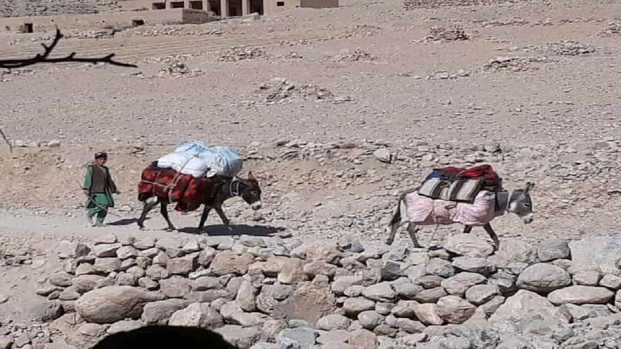 کوچ اجباری ۷۰۰ خانواده در دایکندی توسط طالبان