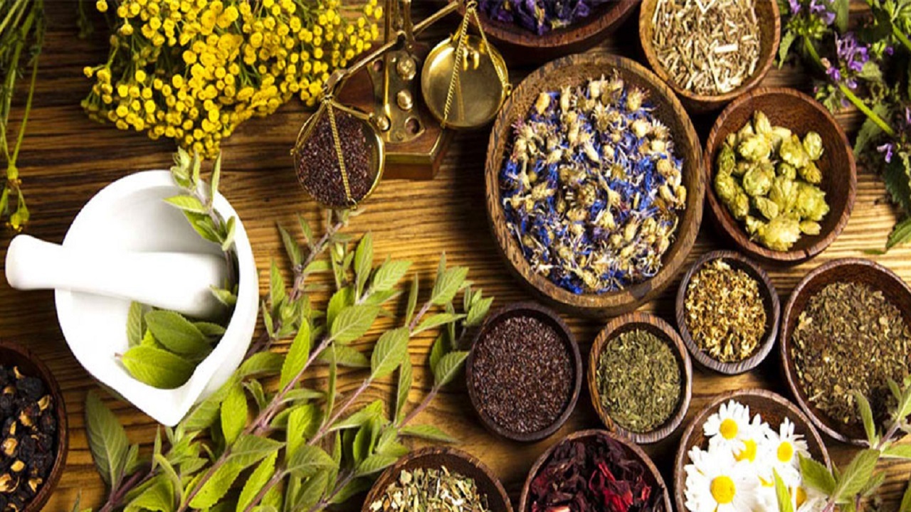 ایران رتبه پنجم در زمینه طب سنتی و گیاهان دارویی