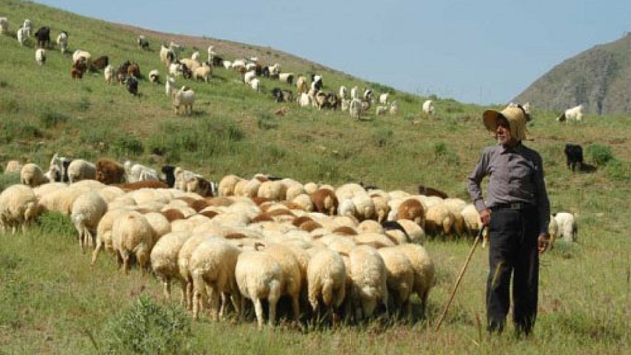 اخذ ۹۰ تعهدنامه مشارکتی از دامداران شهرستان دره شهر