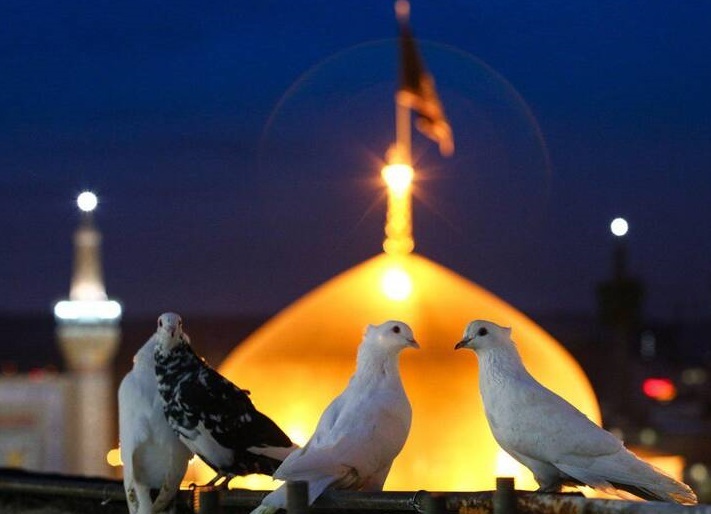 علل شهادت امام رضا در طوس